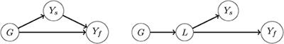 Improving Genomic Prediction Using High-Dimensional Secondary Phenotypes